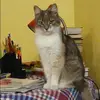 Отзыв от Римма Сазонова